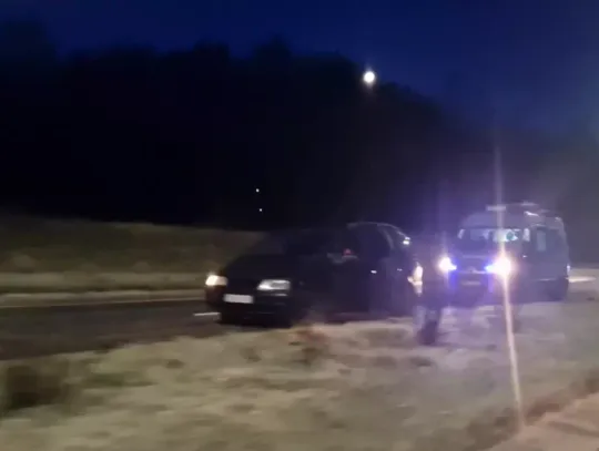 Kolizja auta osobowego z sarną na Al. Królowej Jadwigi