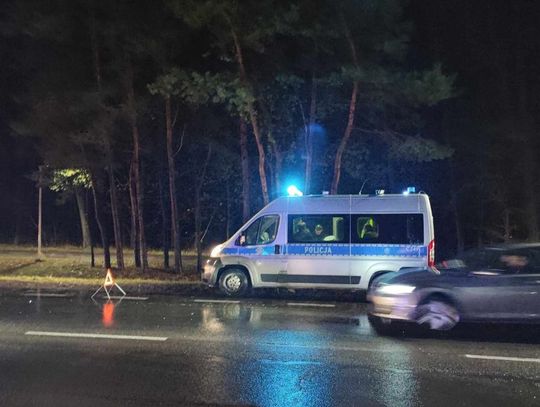 Kolizja w Bogusławicach. Kierujący uderzył w sarnę, która wbiegła na jezdnię