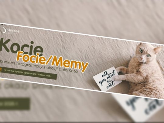 Konkurs fotograficzny "Kocie Focie. Kocie Memy" z okazji Dnia Kota