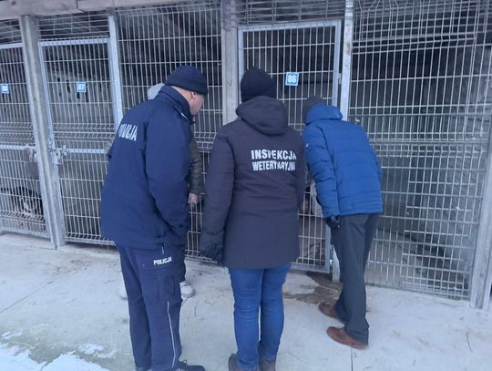 Schronisko w Golubiu-Dobrzyniu z rażącymi uchybieniami. Kontrole MSWiA po akcji Dody Schronisko w Golubiu-Dobrzyniu z rażącymi uchybieniami. Kontrole MSWiA po akcji Dody