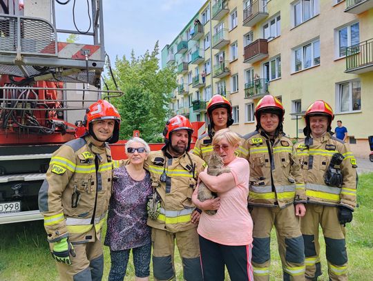 Kot spędził na drzewie ok. 4 godziny. Z pomocą przyszli strażacy