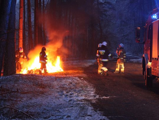 Ktoś podpalił śmieci w lesie pod Kowalem, ogień gasiły trzy jednostki straży