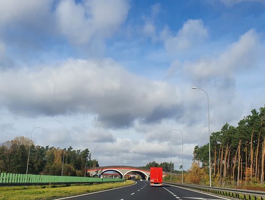 Kurs jazdy na autostradzie teraz również w kujawsko-pomorskim. Jak skorzystać?