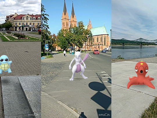 Łapią pokemony na włocławskich ulicach - z korzyścią dla... zwierząt!