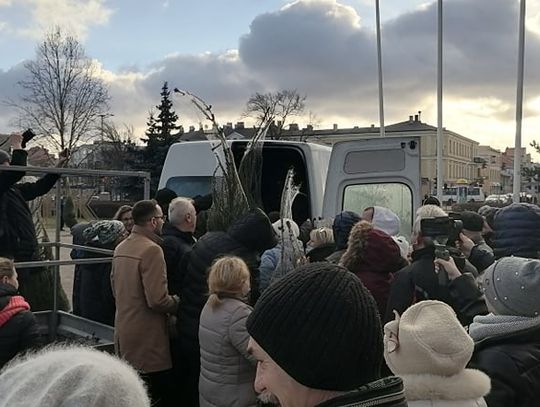 Lewica rozdawała choinki na placu Wolności. Doszło do przepychanek między mieszkańcami