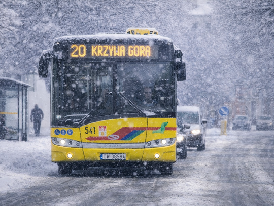 Likwidacja kursów linii nr 20 do Gąbinka i Mikorzyna. Gmina Lubanie wypowiedziała umowę