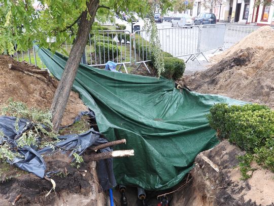 Ludzkie szczątki, na które natrafili robotnicy przy Zielonym Rynku trafiły do szpitala