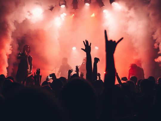 Majówka we Włocławku: wystąpią Kobranocka, Enej i Dawid Kwiatkowski