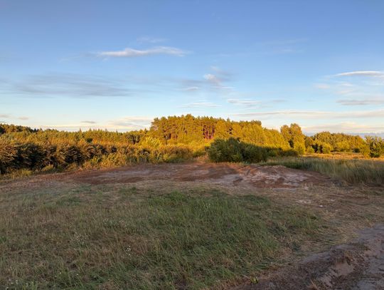 Makabryczne znalezisko w Pińczacie [zdjęcia pod artykułem nie dla wrażliwych]