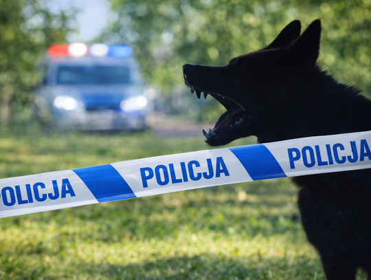 Matka i córka zaatakowane przez psa. Lipnowska Komenda szuka świadków