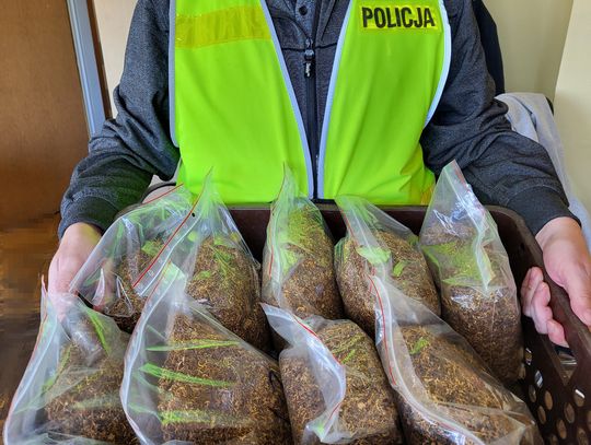 Mundurowi zabezpieczyli 28 worków foliowych z krajanką tytoniową