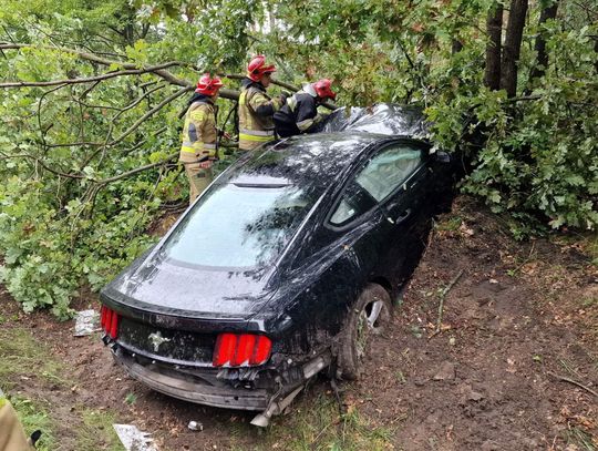 Mustang rozbity na drzewie. Kobieta kierująca pojazdem wypadła z drogi
