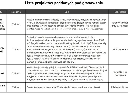 Na te projekty będziemy głosować w Budżecie Obywatelskim. W poniedziałek, 27 czerwca rusza głosowanie