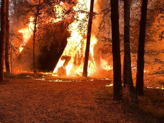 Na terenie ośrodka wypoczynkowego nad Jeziorem Wójtowskim spłonęły trzy domki wypoczynkowe