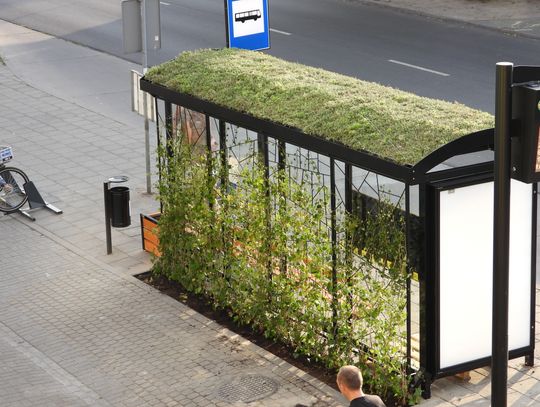 Na ulicy Kaliskiej pojawił się "Zielony przystanek". Kosztował aż 49 200,00 zł !