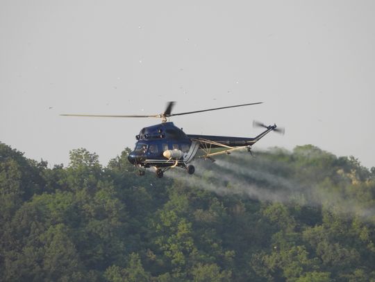 Nadleśnictwo odwołuje zakaz wstępu do lasu 