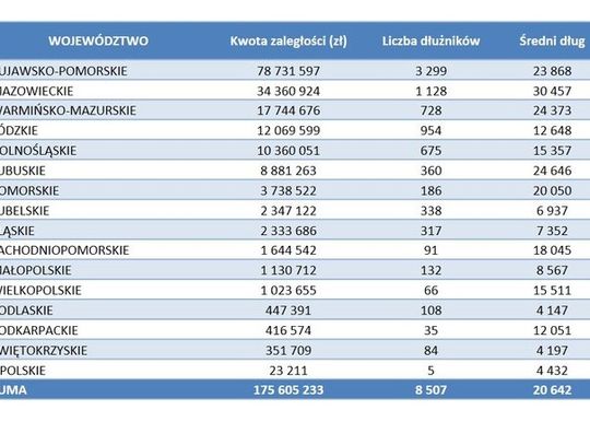 Najwięcej niepłacących za czynsz w kujawsko-pomorskim. Dominują kobiety po 55. roku życia