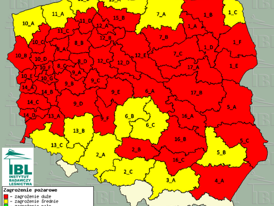 Najwyższy stopień zagrożenia pożarowego w lasach! Spłonęło już...