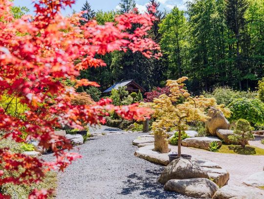 Nie do opowiedzenia, do zobaczenia. Co może zaoferować turystom Dolny Śląsk?
