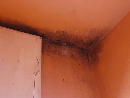 Nie ma chętnych na budowę bloków socjalnych na ul.Toruńskiej. Jak po latach wygląda stan budynków postawionych przez ekipę SLD?
