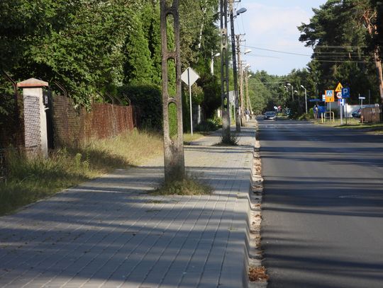 Nie ma gdzie wyrzucić psich odchodów, ani śmieci. Na os. Michelin brakuje koszy na śmieci