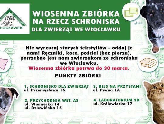 Nie wyrzucaj starych koców, ręczników czy pościeli. Potrzebuje ich schronisko!