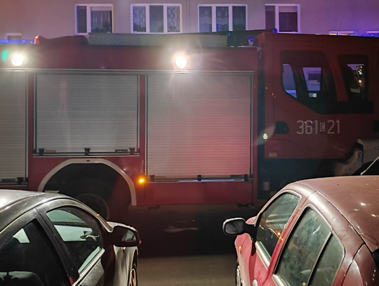 Nietypowa akcja strażaków. 2-latka założyła sobie na głowę nakładkę sedesową