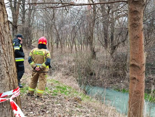 Nieznana substancja w rowie na Słodowie. Teren ogrodzony, jednostka chemiczna na miejscu 