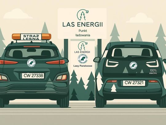 W Nadleśnictwie Włocławek ruszył punkt ładowania samochodów elektrycznych „Las Energii”!
