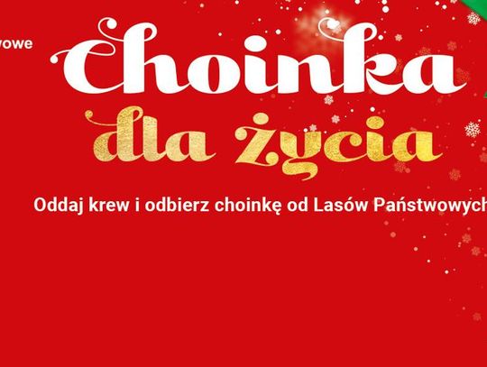 Oddaj krew i odbierz choinkę – szlachetna akcja Nadleśnictwa Włocławek