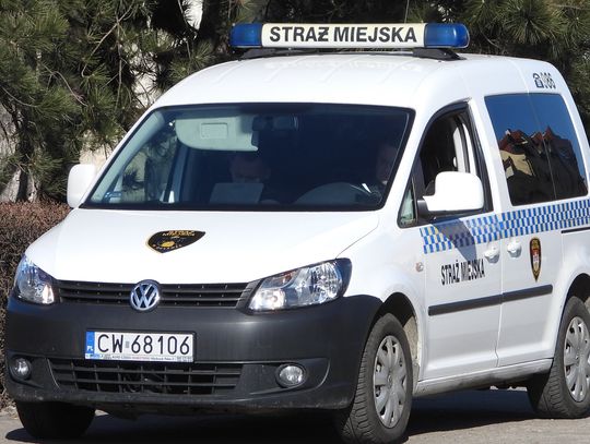 Odpalasz fajerwerki przed sylwestrem? Możesz dostać 500 zł mandatu