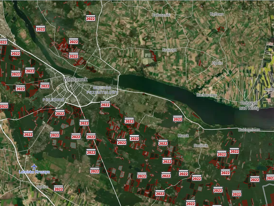 Ogromna wycinka drzew w okolicznych lasach. Mieszkaniec naszego miasta pyta o skalę zjawiska