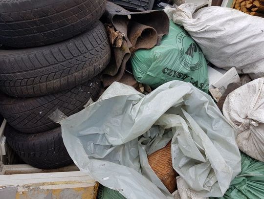 Około 100 osób sprzątnęło blisko 50 ha lasu we Włocławku