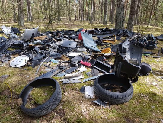 Opony, płytki ceramiczne, pralki, lodówki. To wszystko możemy znaleźć w lasach wokół Włocławka