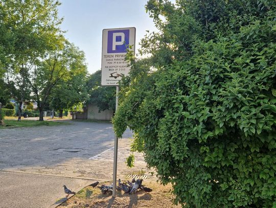 Parking przy ul. Leśnej jest własnością Bazy. Parkowanie grozi...