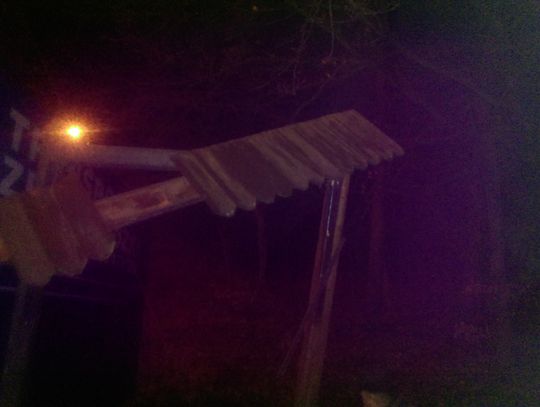 Pijani mieszkańcy Włocławka uszkodzili mienie nadleśnictwa 