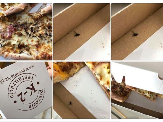  Pizza z muchą, a zamiast przeprosin... Pani Monika oburzona sytuacją zgłosiła sprawę do Sanepidu!