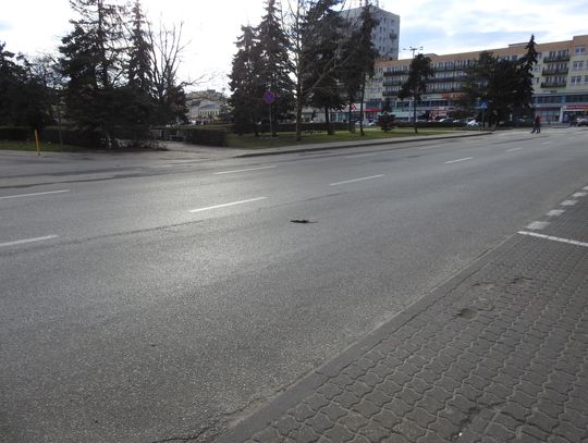 Plaga szczurów w centrum miasta? [UWAGA! zdjęcia nie przeznaczone dla dzieci i osób wrażliwych]