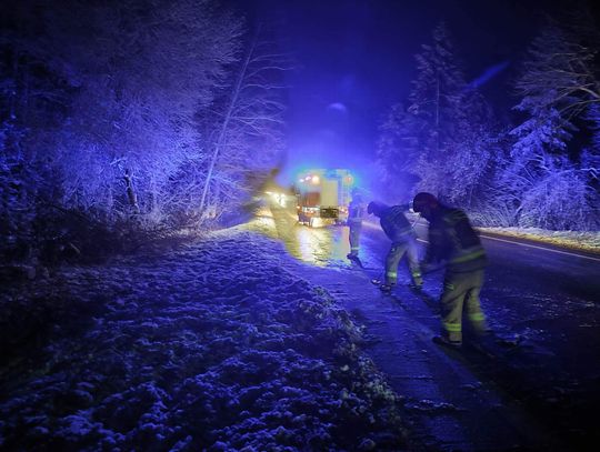 Pod ciężarem śniegu złamało się drzewo na drodze Włocławek-Kowal. Powstał ogromny korek