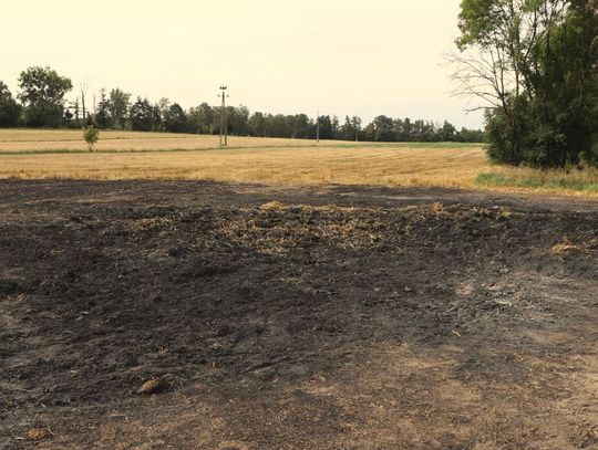 Podpalił baloty słomy warte 53 000 zł. 16-latek został zatrzymany