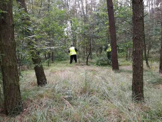 Policja bada sprawę zabójstwa. Ciało młodego mężczyzny znaleziono dziś w lesie przy DK-62 
