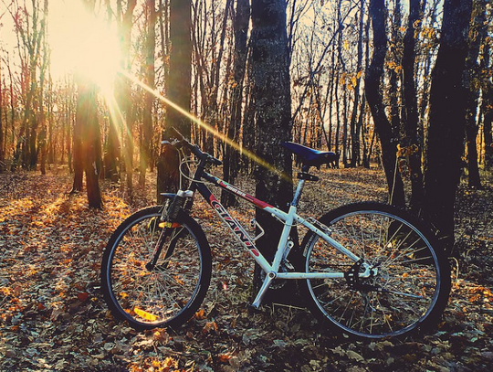 Policja poszukuje złodzieja roweru