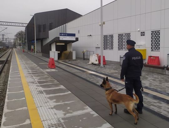 Policja z psami na dworcu. Sprawdzali legalność pobytu obcokrajowców