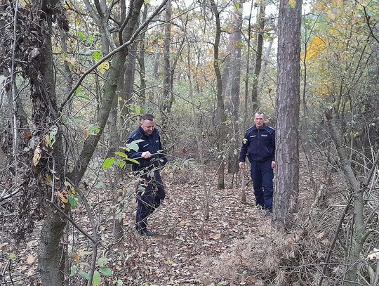Policjanci z Lipna odnaleźli zaginioną włocławiankę w bobrownickim lesie