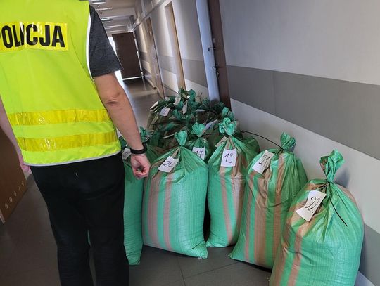 Policjanci z Włocławka zabezpieczyli 330 kg nielegalnej krajanki tytoniowej