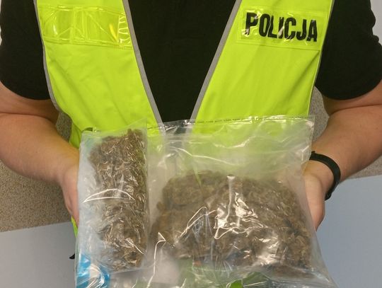 Policjanci zatrzymali 41-latka, który posiadał ponad 300 gramów marihuany