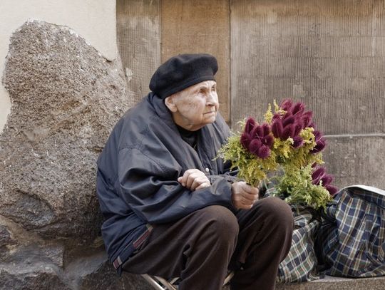 Polskie społeczeństwo się starzeje. Ponad 20% włocławian stanowi grupa 65 +