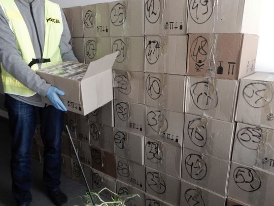Ponad 11 000 paczek papierosów bez znaków akcyzy. Kontrabanda została zabezpieczona przez włocławskich policjantów