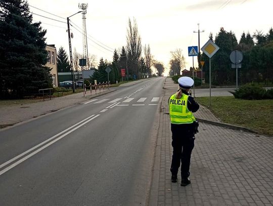 Ponad sto wykroczeń w jeden dzień! Akcja „Bezpieczny pieszy” we Włocławku z mocnymi wynikami