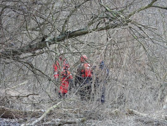 Poszukiwali nastolatki, znaleźli inne zwłoki dryfujace na Wiśle...